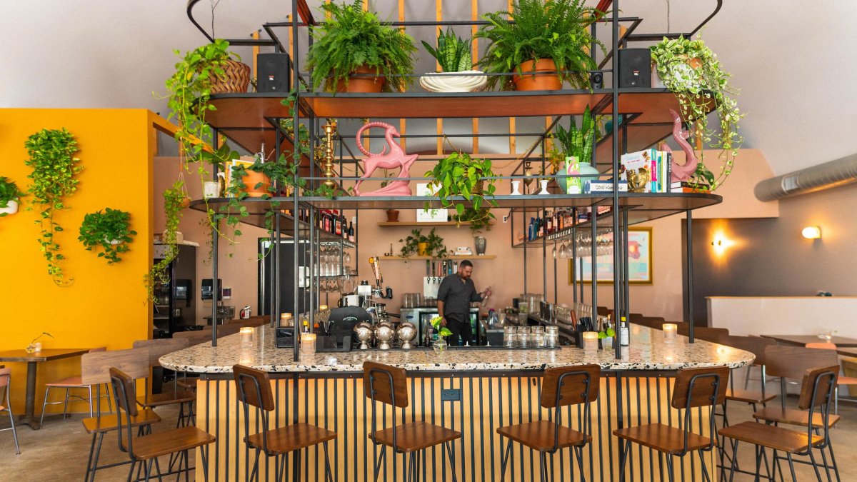 The airy, retro bar with ferns at Good Intentions restaurant