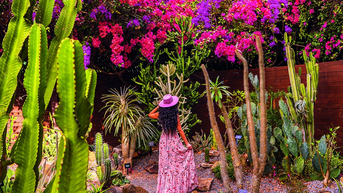 a woman in a pink dress and hat stands in the succulent garden, looking at a wall of brightly colored bougainvillea vines