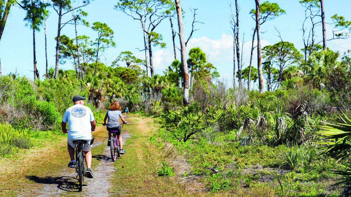 Two bikes head down a dirt path on Honeymoon Island