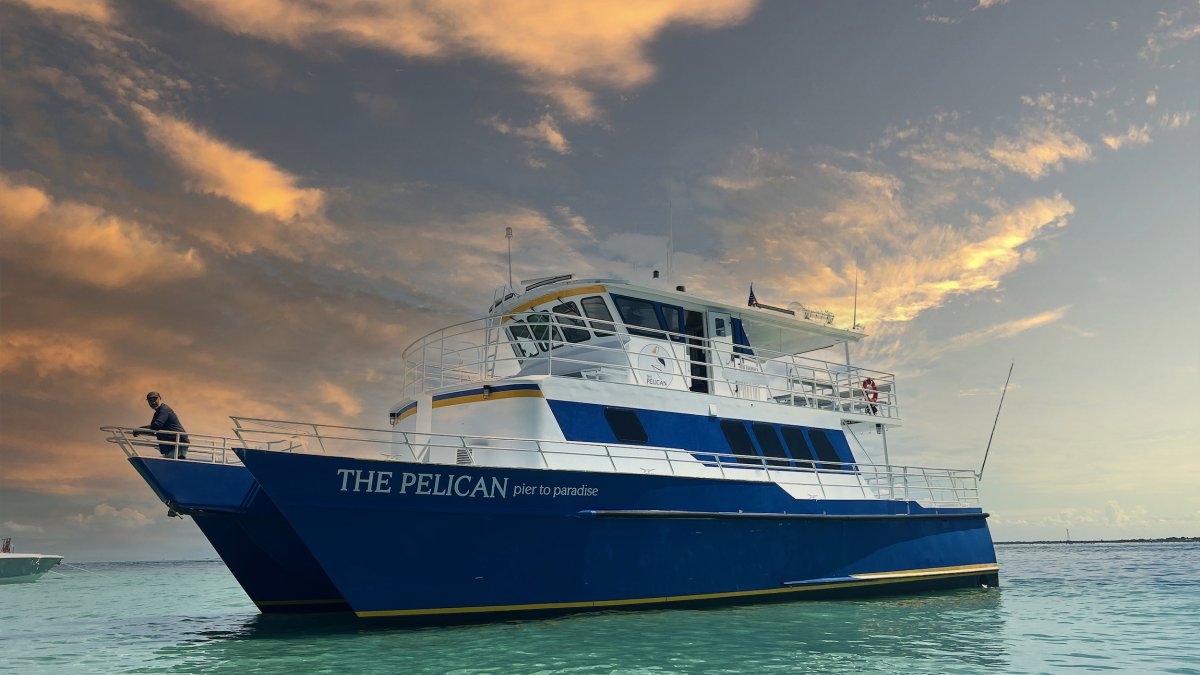 The Pelican Boat St. Pete at sunset