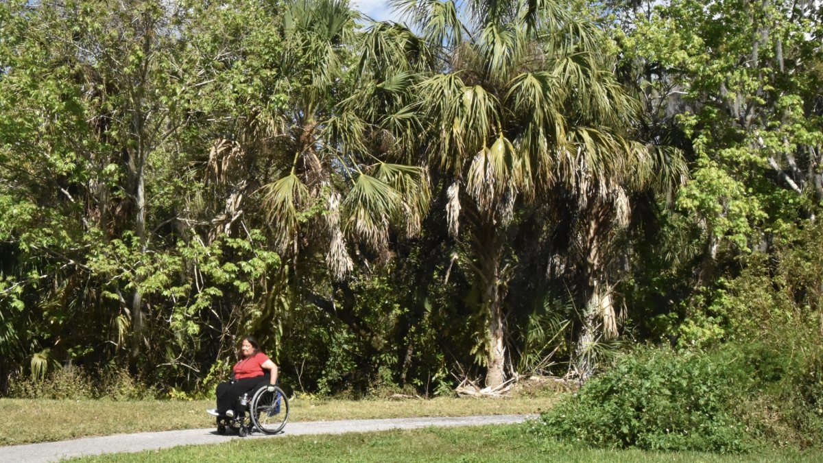 Woman in wheelchair rolls along paved path through park