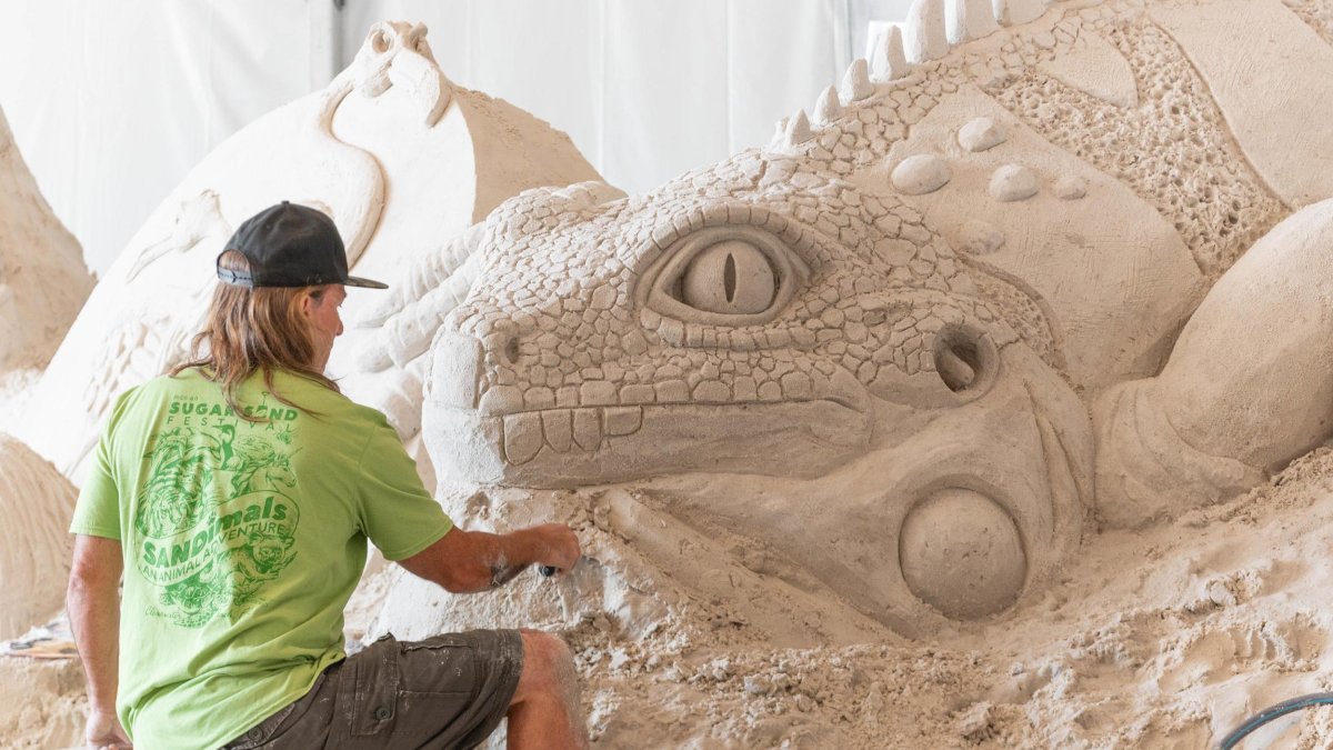 man in green T-shirt works on sand sculpture of an iguana