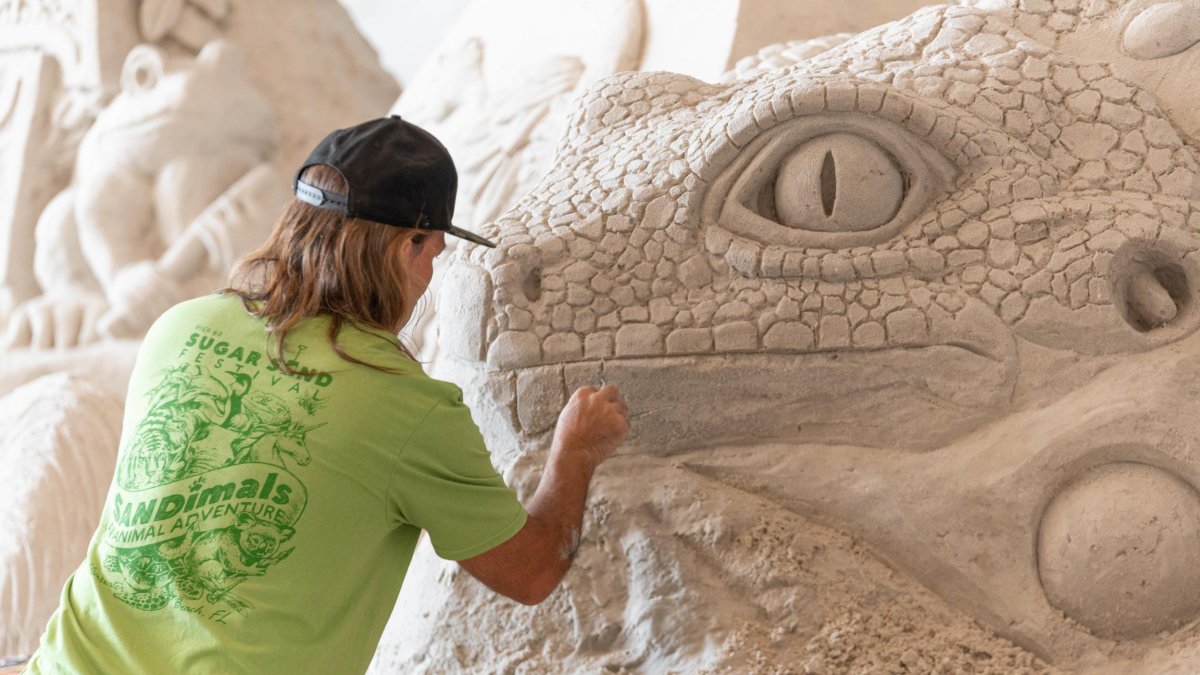 man in green T-shirt works on sand sculpture of an iguana