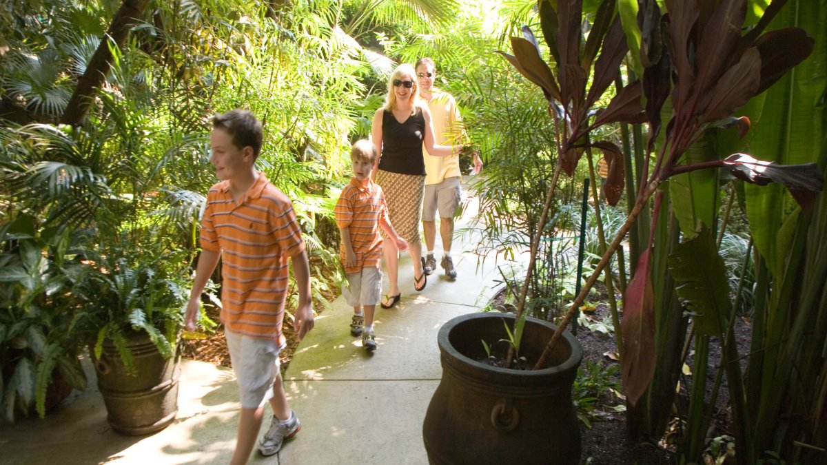 Family walks along paved path through greenery