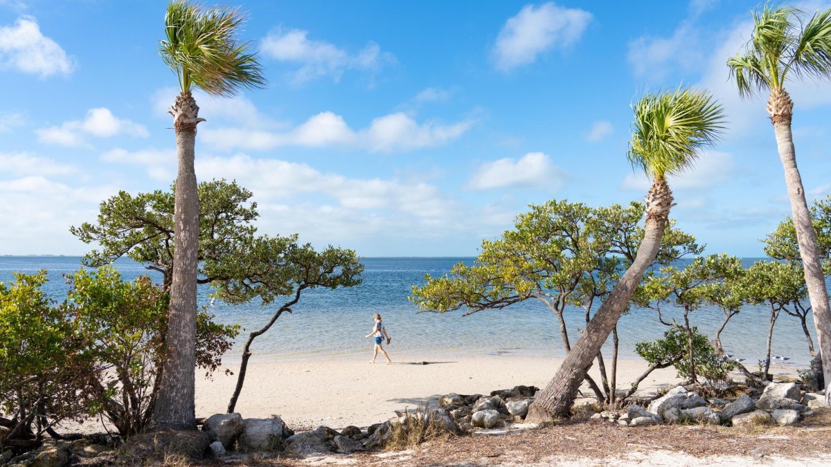 palm trees and other trees and rocks line a white sand beach as a woman walks in the water at Sunset Beach on Treasure Island