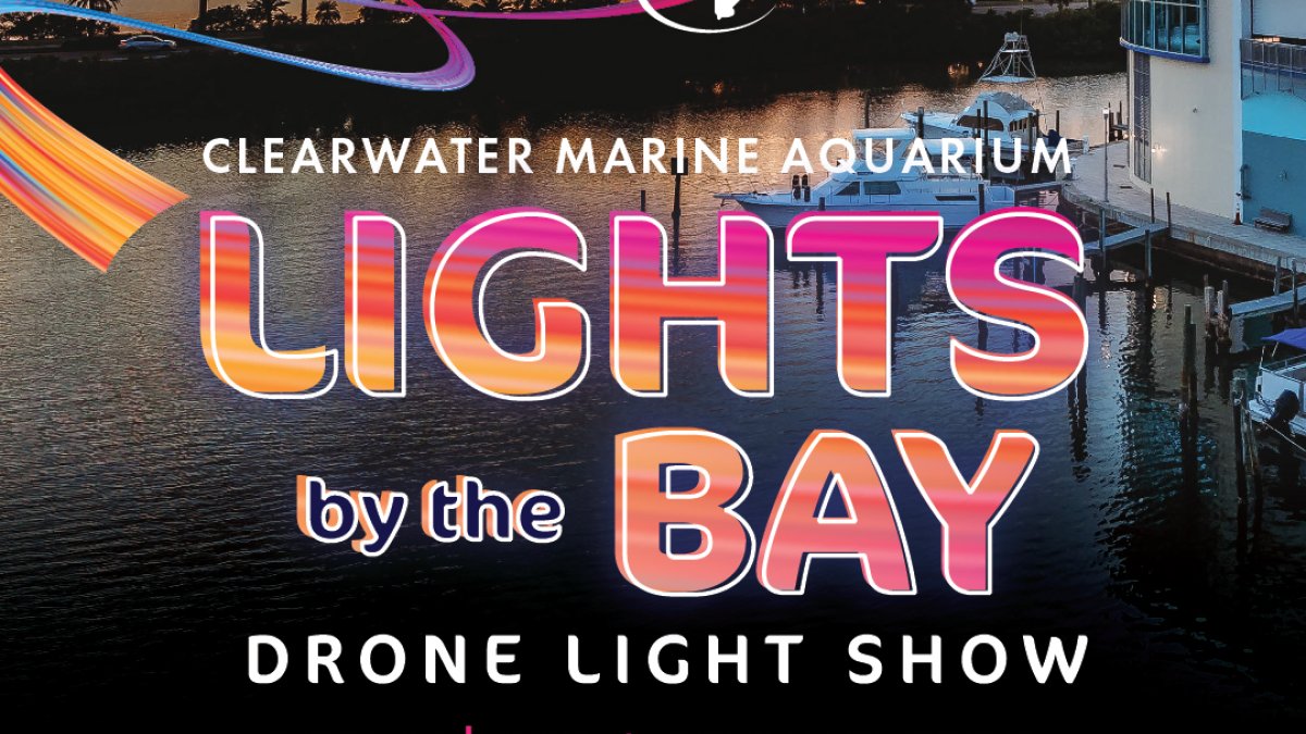 CMA Lights by the Bay Drone Light Show Visit St Petersburg
