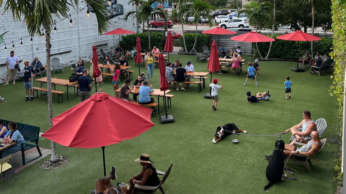 Outdoor patio with people, dogs and red umbrellas