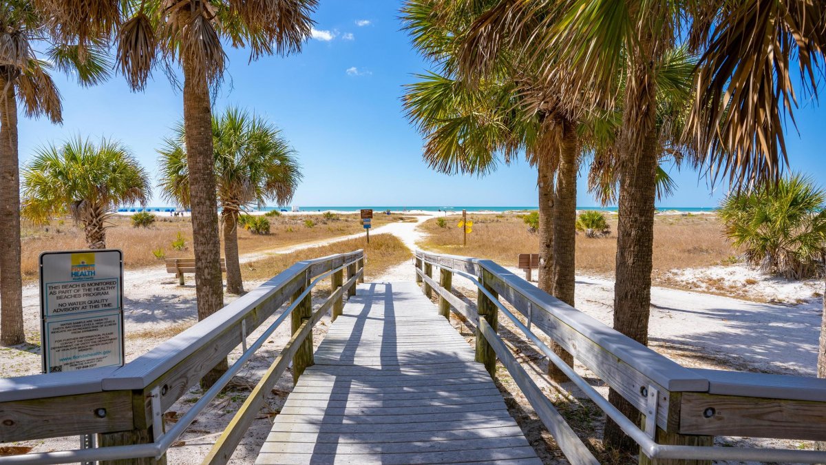 A wooden boardwalk leads past palm trees to the beach.