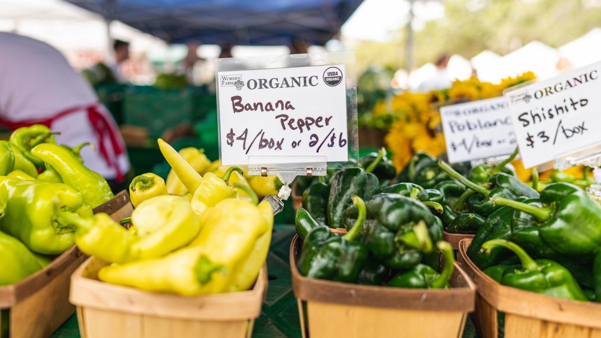 Baskets of organic peppers for sale at the St. Pete Saturday Morning Market