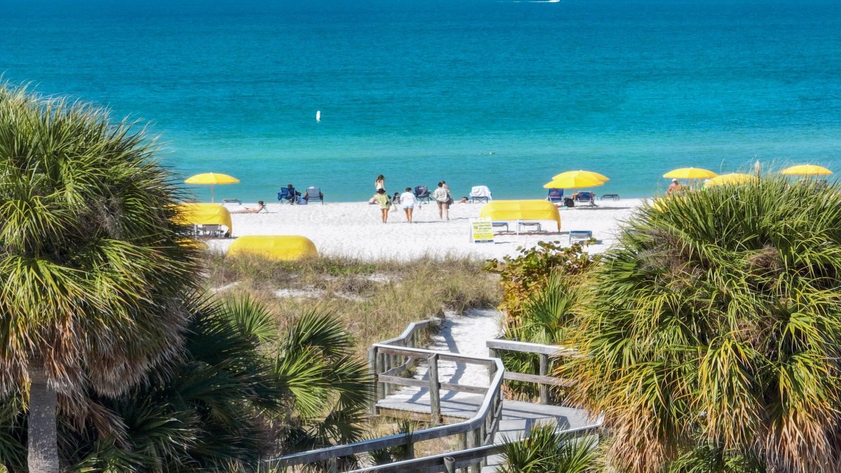 Boardwalk surrounded by palms leads to beach and turquoise water