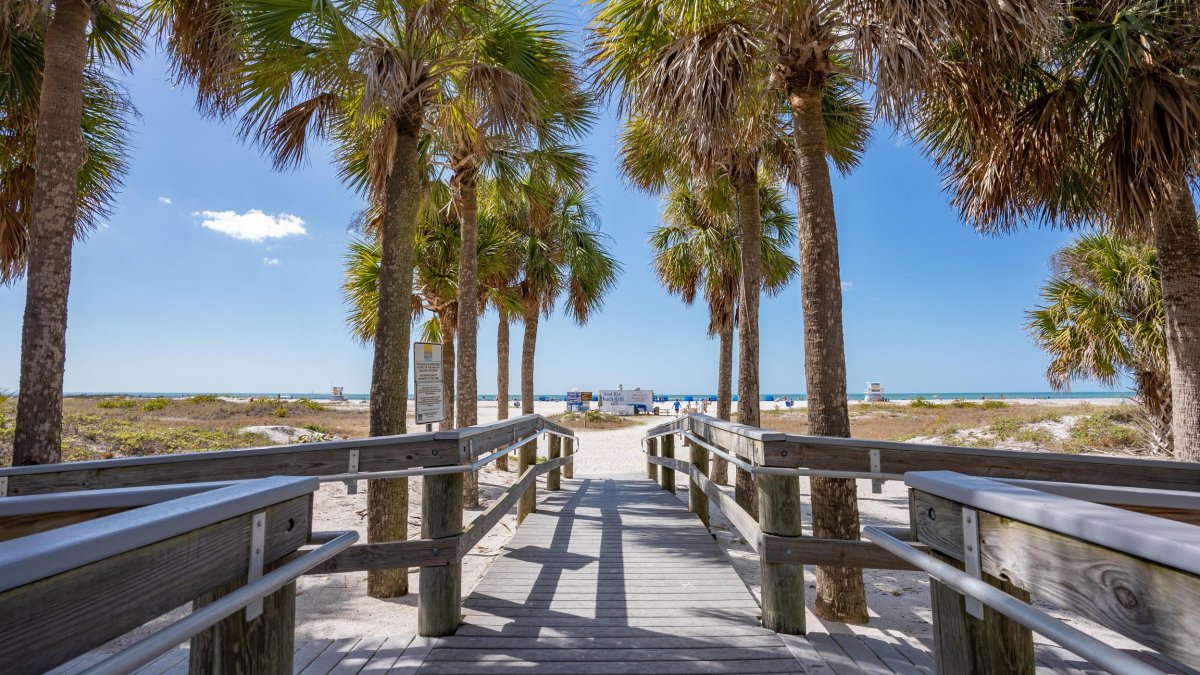 A palm-lined boardwalk leads to a white-sand beach