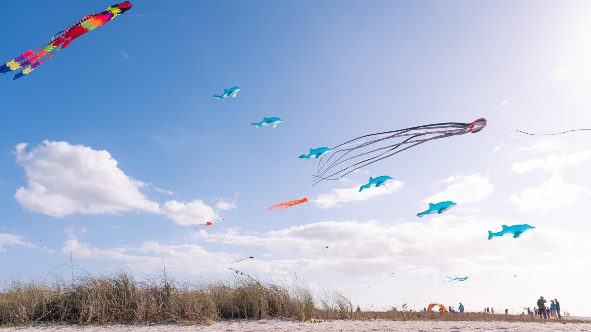 Kites fly over a wide white-sand beach with sea oats in the background