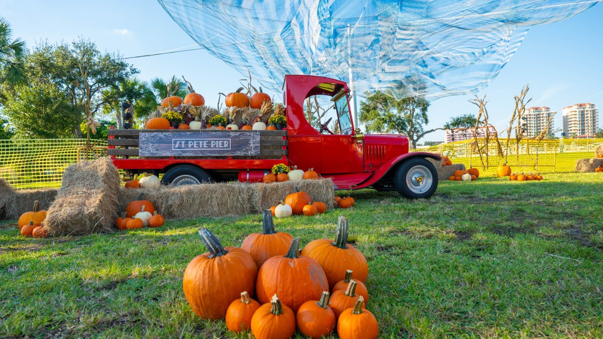 Fall Festivals & Events | Visit St Petersburg Clearwater Florida
