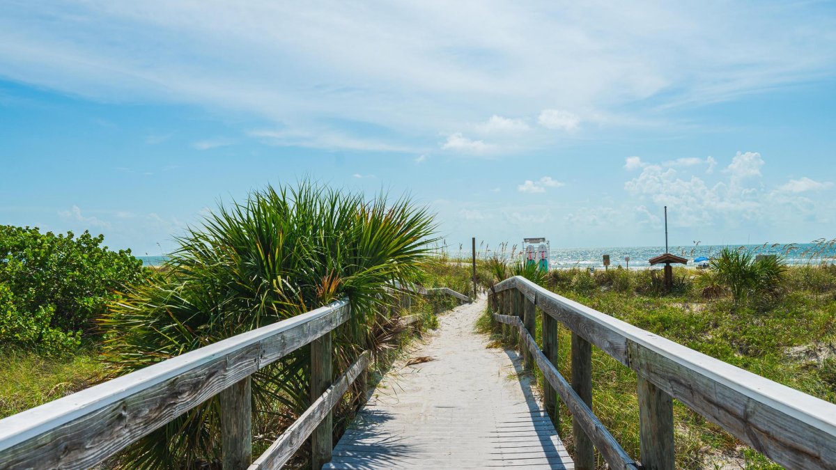 Spazieren Sie durch üppige Vegetation und Dünen zum St. Pete Beach