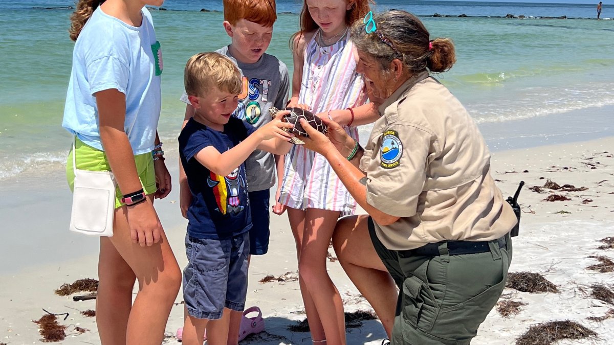 Honeymoon Island Fall Fest Visit St Petersburg Clearwater Florida