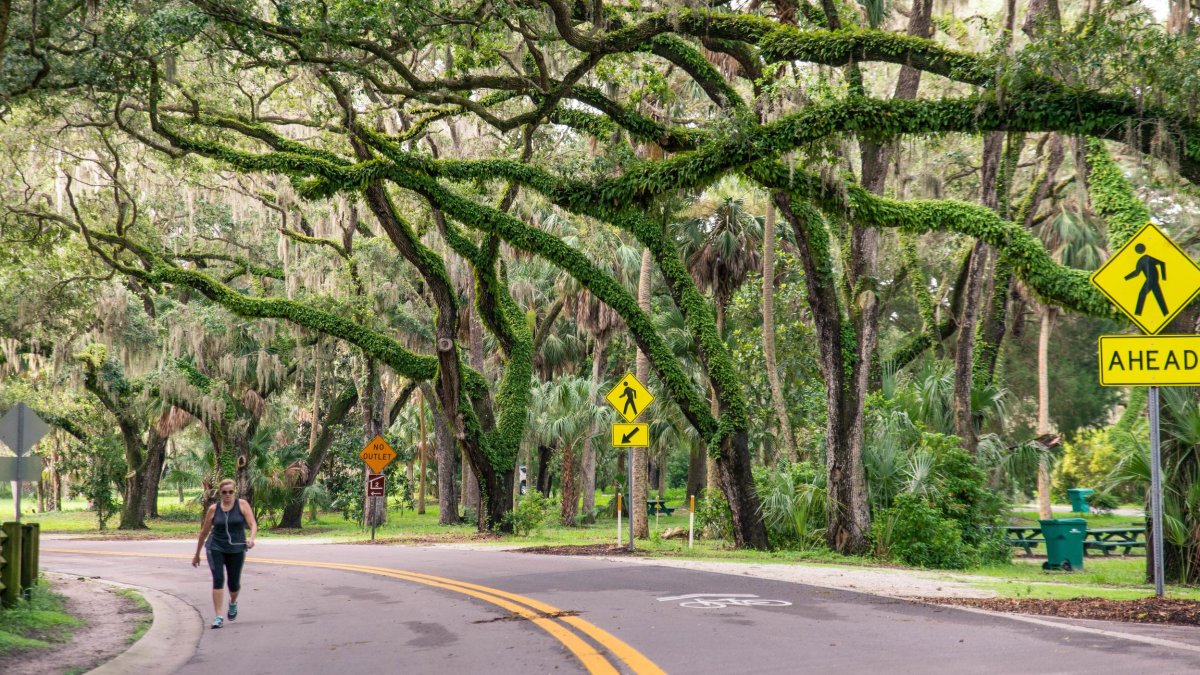 A woman walking along a street flanked by wild oak trees at Philippe Park