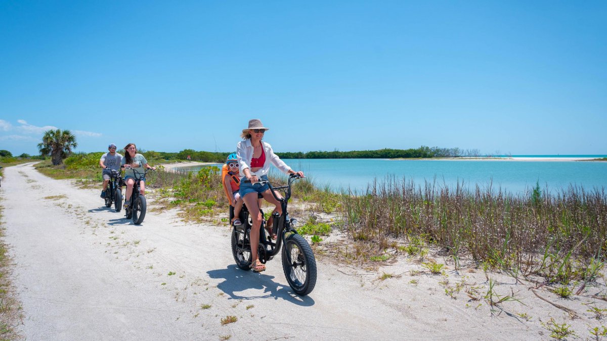 A family on electric bikes bicycle along a waterfront bike path