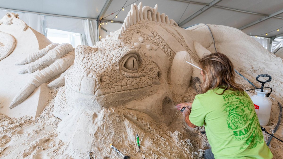 Pier 60 Sugar Sand Festival Visit St Petersburg Clearwater Florida