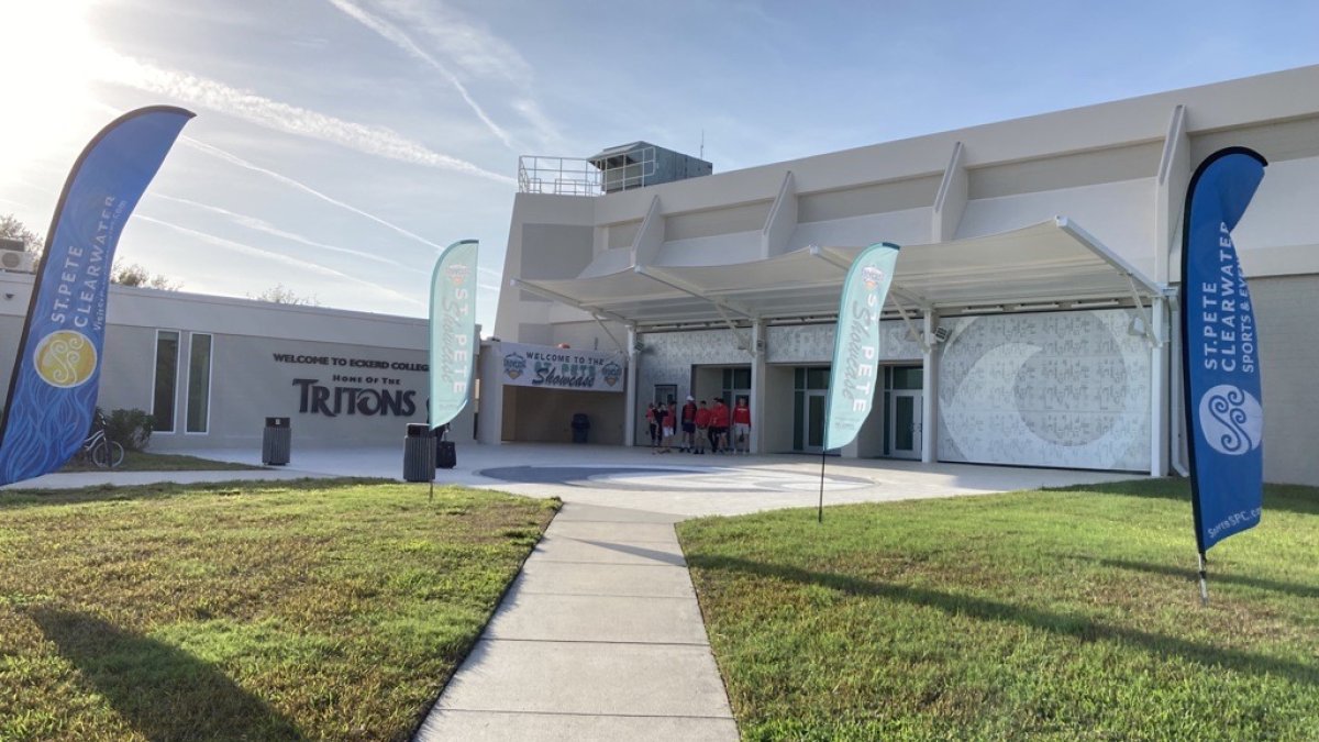 Sports falcon flags at eckerd college