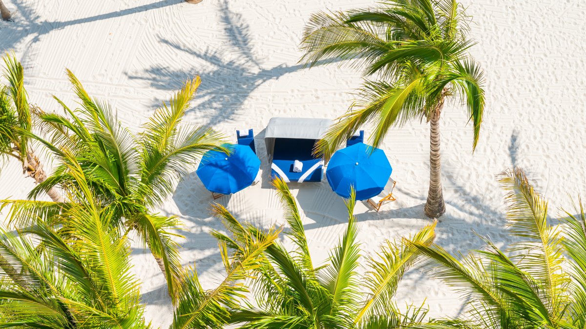 beach cabana and palm trees 