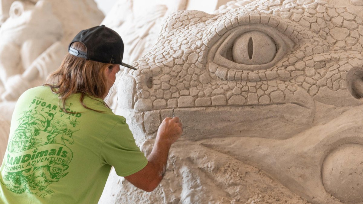 an artist wearing a lime green t-shirt and a black baseball hat works on a sand sculpture of an iguana