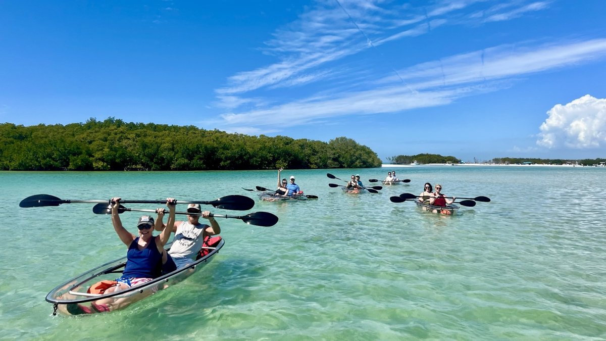 A pod of kayakers