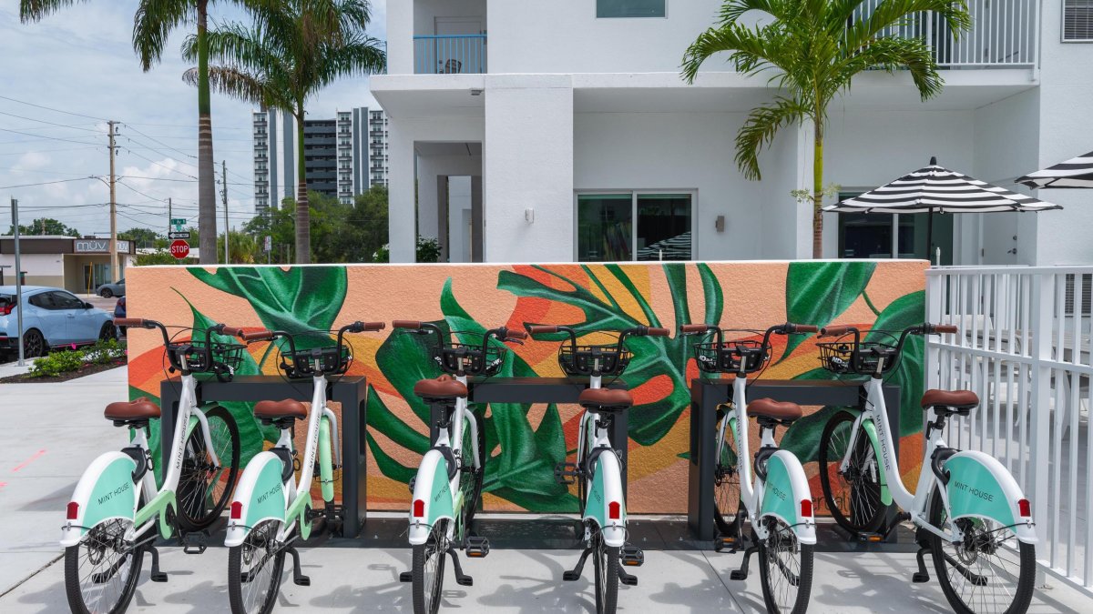 bike share bicycles parked in front of a small tropical mural