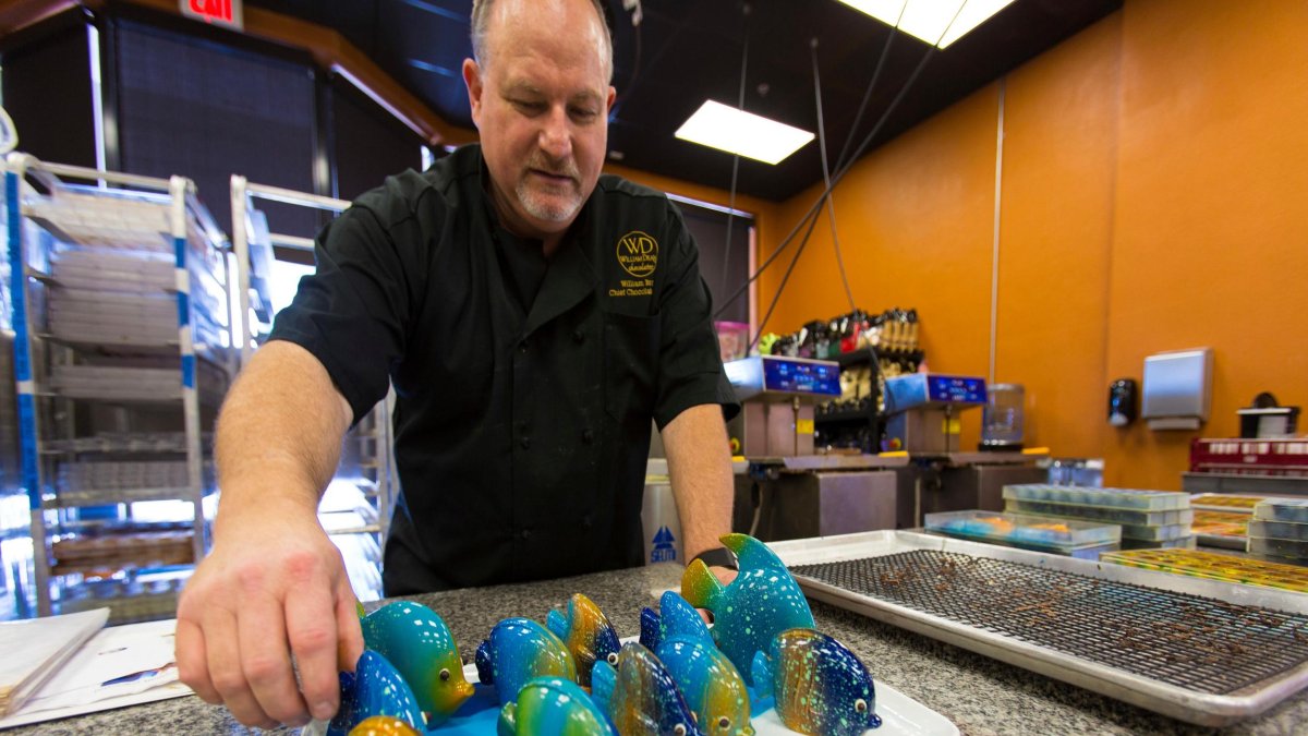 a man in a black chef's shirt puts the final touches on chocolates that look like blue green and gold tropical fish