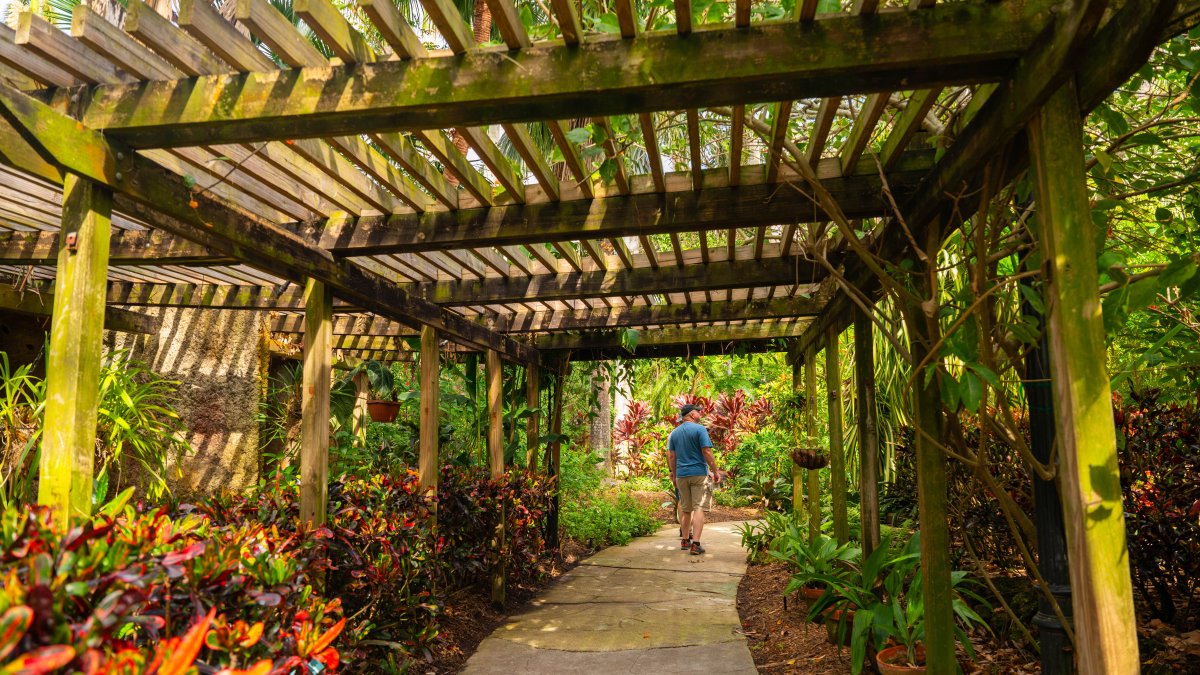 walking path