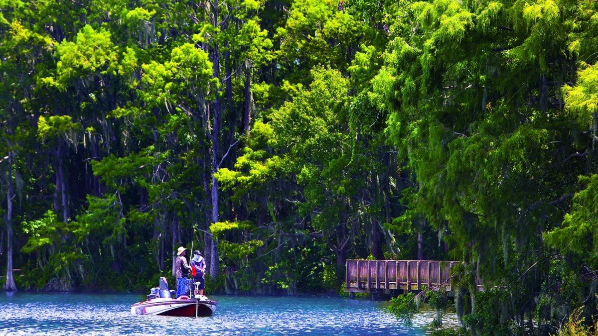 Fishing from a boat in Lake Tarpon
