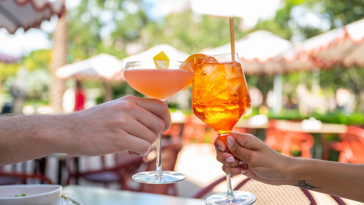 two diners toasting with their drinks at Juno & the Peacock in St. Pete