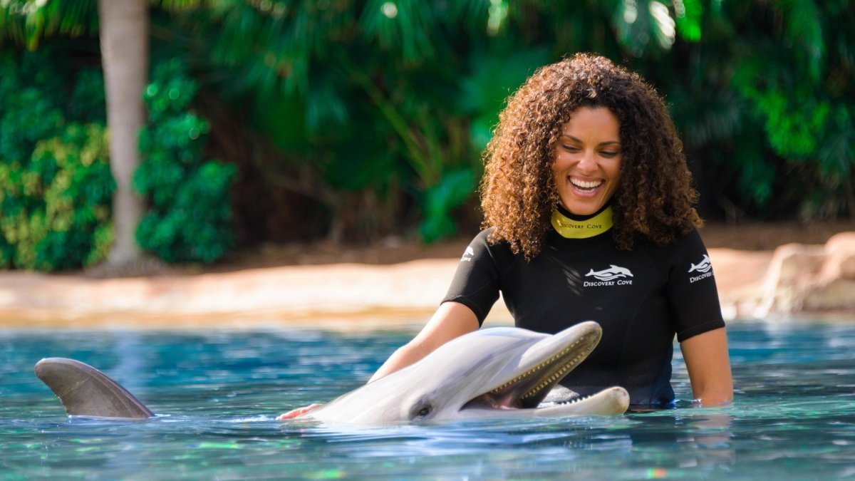 woman standing in clear water and resting hand on back of a dolphin with lush greenery and palm trees in the background at Discovery Cove in Orlando