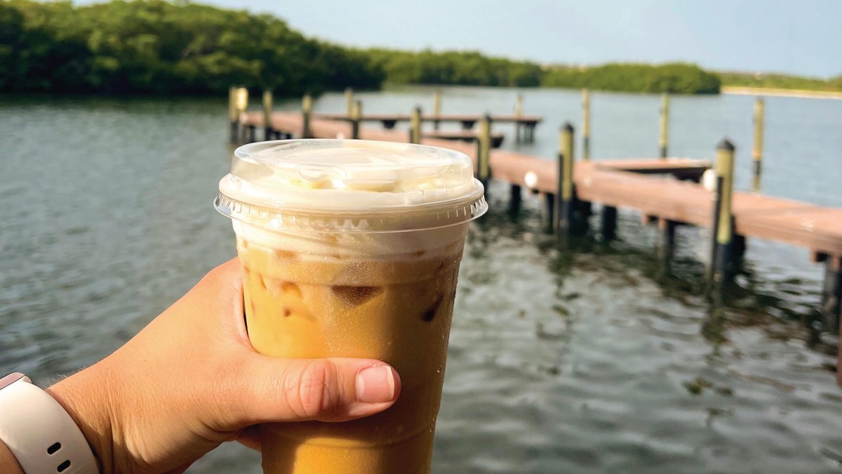 a person holds an iced coffee in their hand with a view of the water, a dock and mangroves