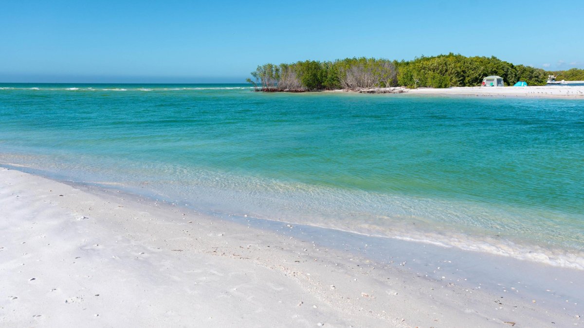 a beautiful beach across from Shell Key Preserve, an island where two tents are set up next to mangroves and other trees