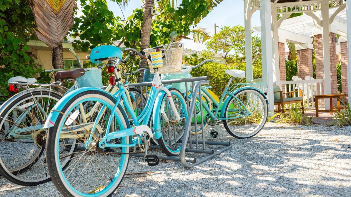 bikes at a bike rack in the shade of palm trees at Coconut Inn in Pass-a-Grille Beach