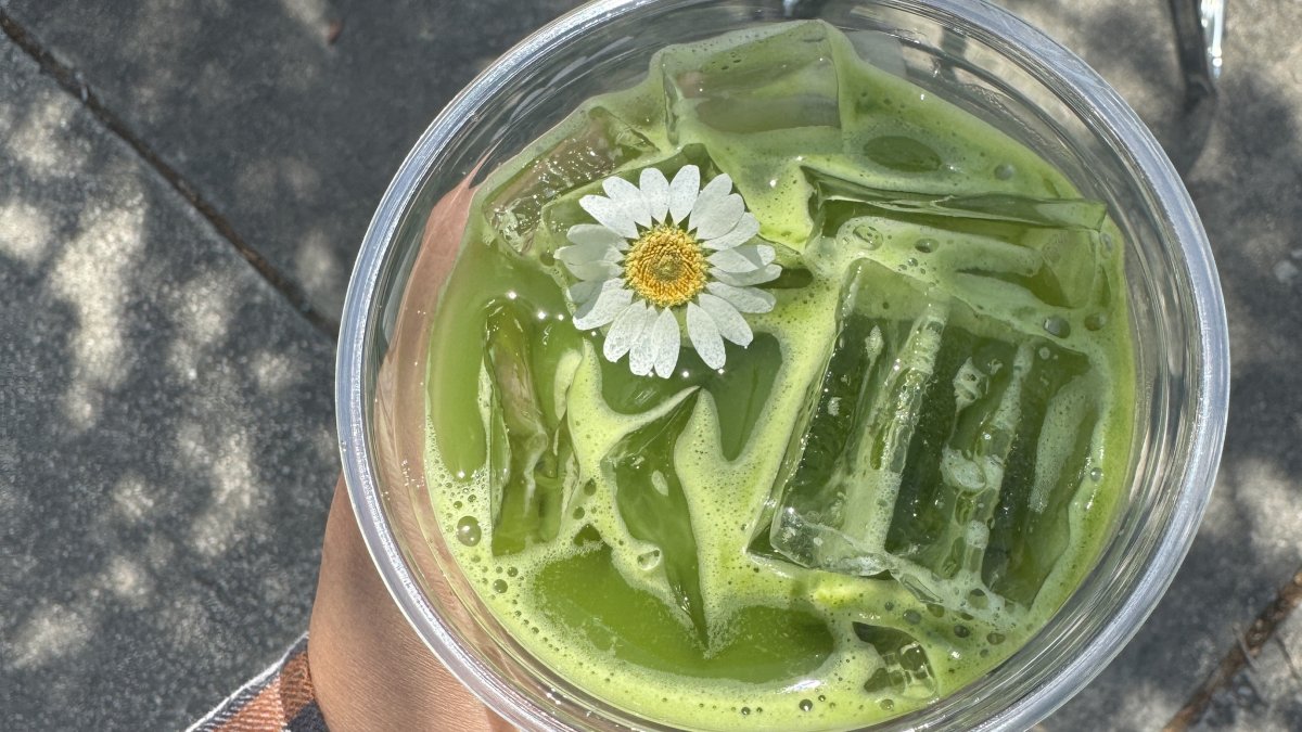 a clear plastic cup with iced matcha topped with a white and yellow flower at Daycation coffee.
