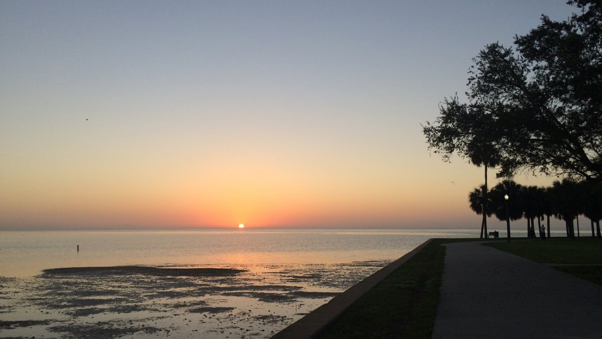 sunrise over Tampa Bay at Flora Wylie Park in St. Petersburg