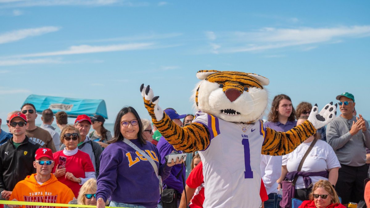 LSU's mascot, a tiger, surrounded by fans at Reliaquest Bowl Clearwater Beach Day