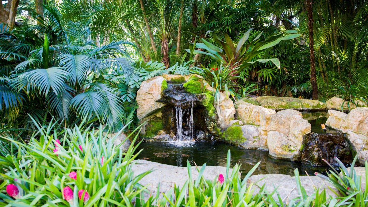 The Sunken Gardens in St. Petersburg, Florida