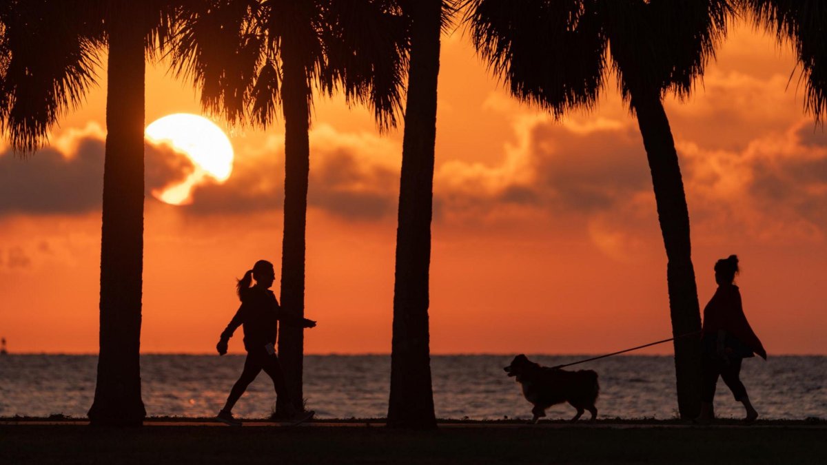 A sunrise over Vinoy Park in St. Pete