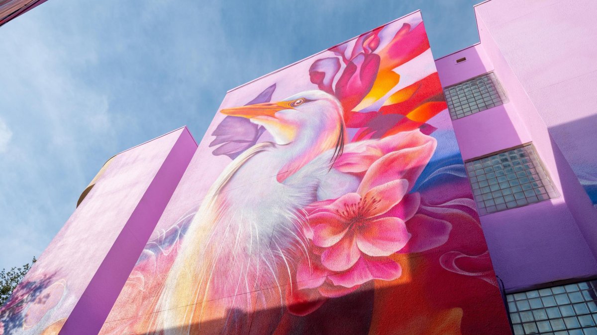 beautiful pink mural of a bird on the side of a building, painted by Dreamweaver