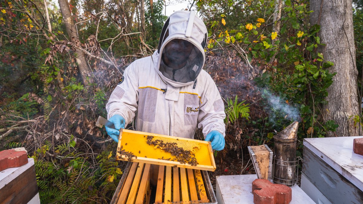beekeeper