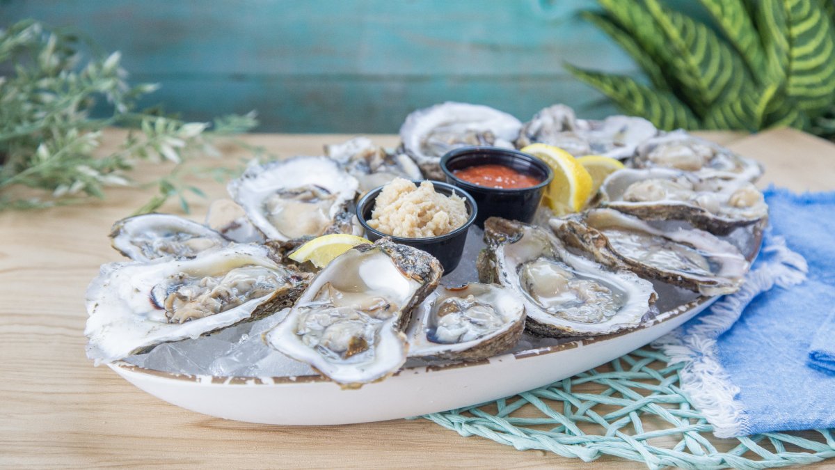 Raw Dozen Oysters
