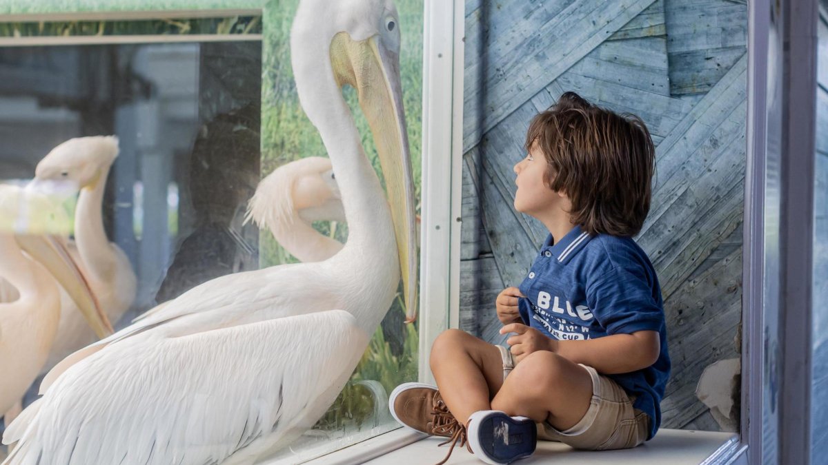 Clearwater Marine Aquarium 3