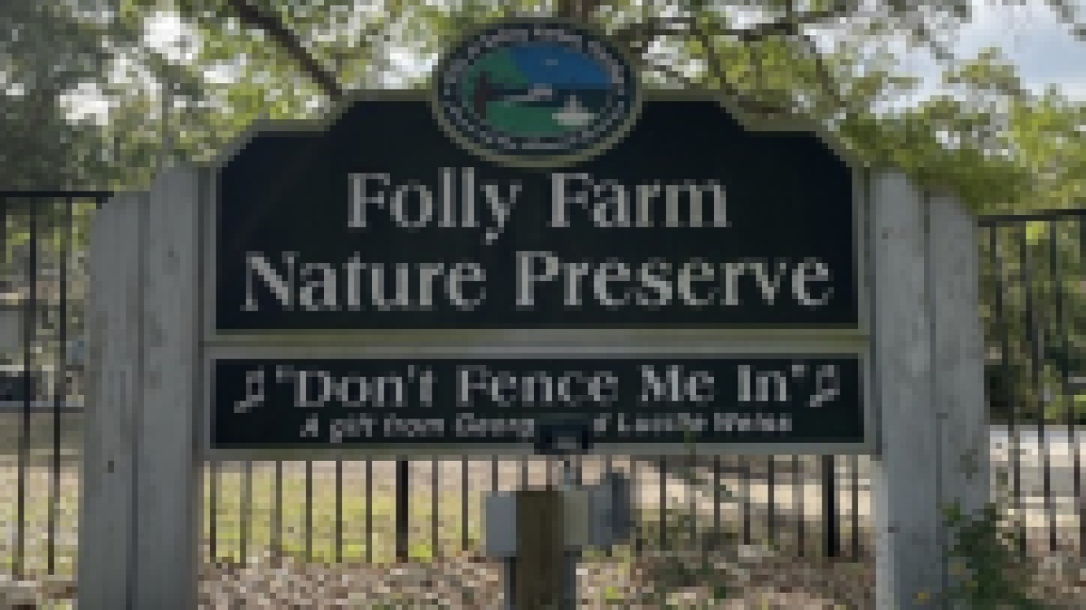 Folly Farms Nature Preserve Visit St Petersburg Clearwater Florida