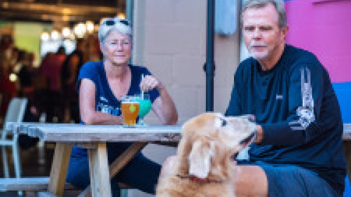 barry joanne pup color