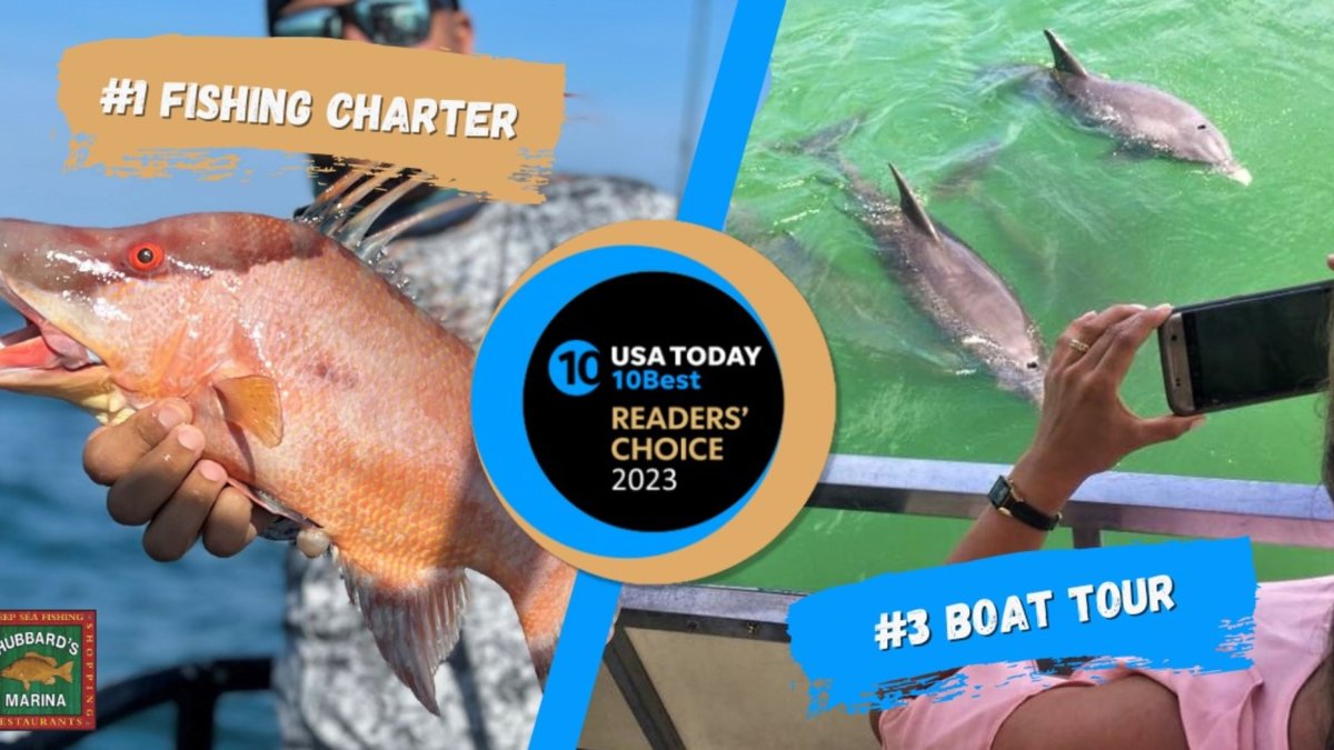 How to Go on a Deep Sea Fishing Charter in St. Petersburg, FL