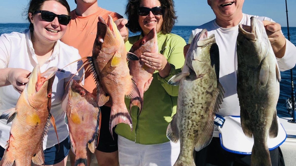Group Fish 1