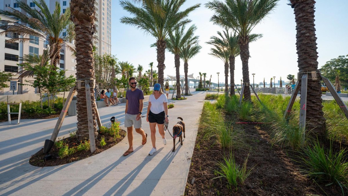 Coachman Park paved path with dog