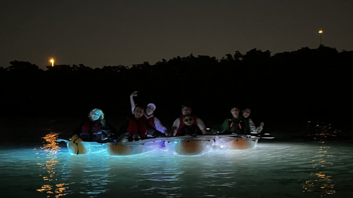 Sea Glass Kayaking at night